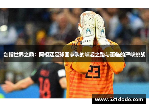 剑指世界之巅：阿根廷足球国家队的崛起之路与面临的严峻挑战