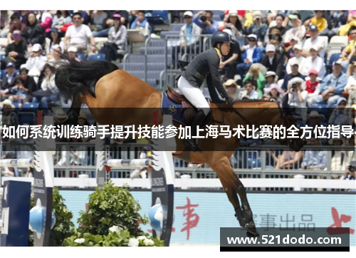 如何系统训练骑手提升技能参加上海马术比赛的全方位指导