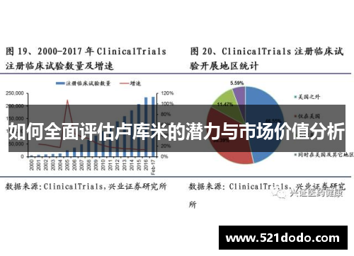 如何全面评估卢库米的潜力与市场价值分析