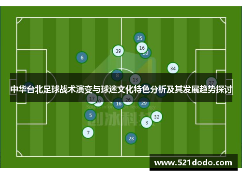 中华台北足球战术演变与球迷文化特色分析及其发展趋势探讨