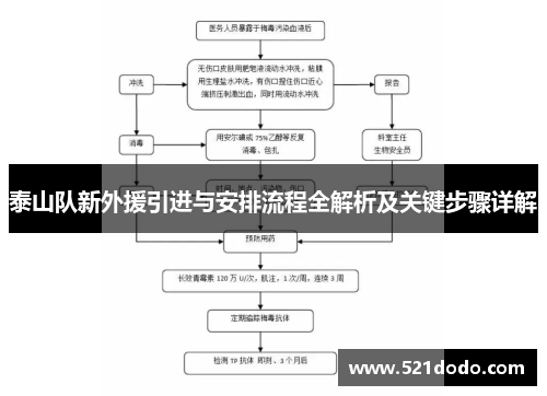 泰山队新外援引进与安排流程全解析及关键步骤详解