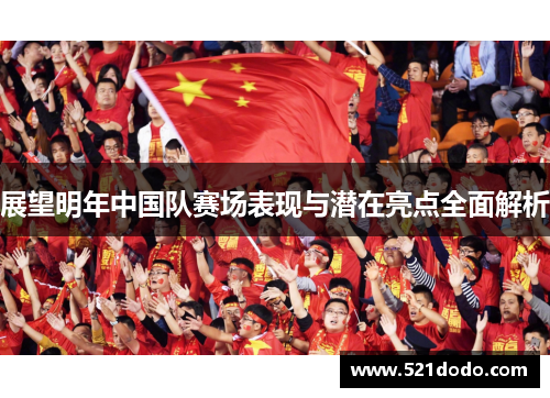 展望明年中国队赛场表现与潜在亮点全面解析